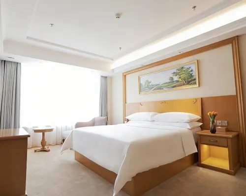 Vienna Hotel (Shenyang Central Street) Kamar Photos