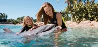 Embassy Suites by Hilton Orlando International Drive ICON Park - Uima-altaat