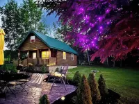 Rustic Camp with Trails, Views & Adventure – Pet Friendly!