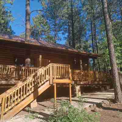 The Cozy Cabin - Escape/Unplug from the City Life in This Quiet Forest Retreat. Others