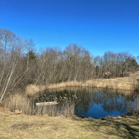 Cozy cabin in charming Kenoza Lake with WiFi, AC, pond,fire pit, lotof amenities