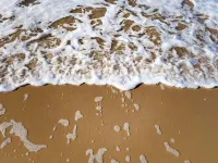 Côte Ouest Thalasso &Spa les Sables-d'Olonne MGallery Collection - オーシャンビュー