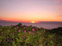 Lone-standing vacation home with a large garden in a peaceful location - WiFi