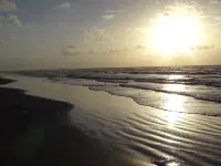 Pointe West BEACHFRONT next to dune walkover! - 4 bed 4 bath - สระว่ายน้ำแบบอินฟินิตี้