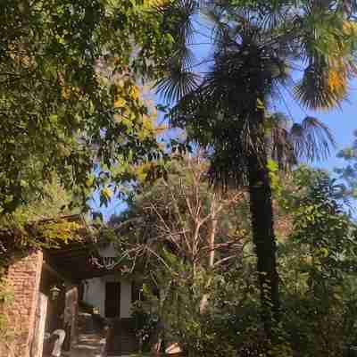 Torre Home - detached house with garden in the city of Bolzano all to yourself! Hotel Exterior