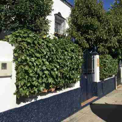 Casa Albéitar, easy Parking, Wifi, Ronda Hotel Exterior