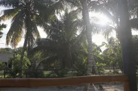 Gumbo Limbo Art Cabana - Stunning Peaceful Cabana, Steps From Ocean, Free Bikes - Bungalows