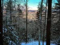 Mountain Cabin with long range views, privacy, and more. Hotels in Campton