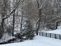 The Flint House! Lovely Cabin located in beautiful Campbellsville Ky. - 3-Star