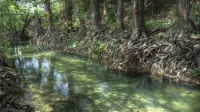 Indian Falls Retreat and Lodging