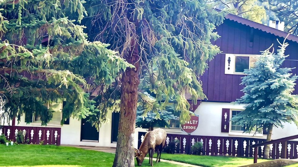 River Front Cozy Condo near RMNP