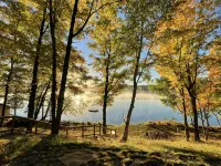 Beautiful house on Camp Lake! - Hytter