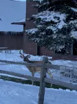 Golf Course Condo with Pool, Hot Tub, Sauna, and Game Room. Aspen Townhomes #6 - Gym