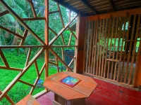 Hostal Buho Amazonas Tours Hotels in Leticia