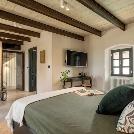 Villa Elena - Four Bedroom Villa with Pool Hotels in Golaš