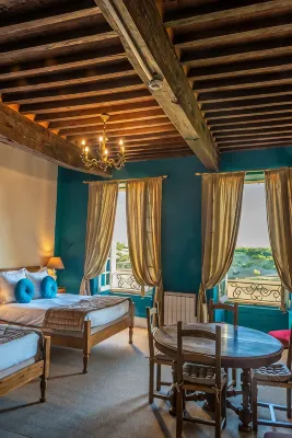 Hotel Raymond VII - que admiten mascotas