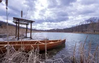 Cabin, cottage, fishing, hunting, trails, creek, ponds, nature - 4-Star
