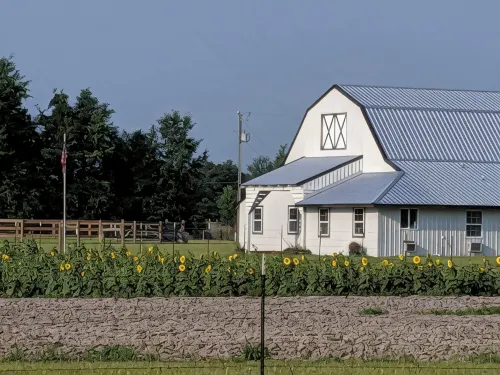 Bunkhouse Farm Stay - Homestays