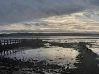 Stunning spacious apt in culross - 4-Star