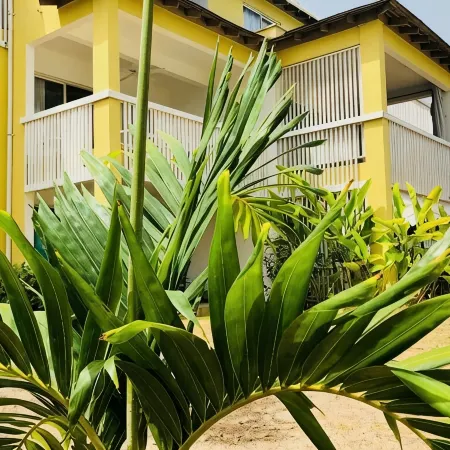 Superb 2 Bedroom/2 Bath Beachfront Condo in Tower Isle, Near Ocho Rios