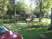 Reduced to 80.00 March -July week days - 3-Star