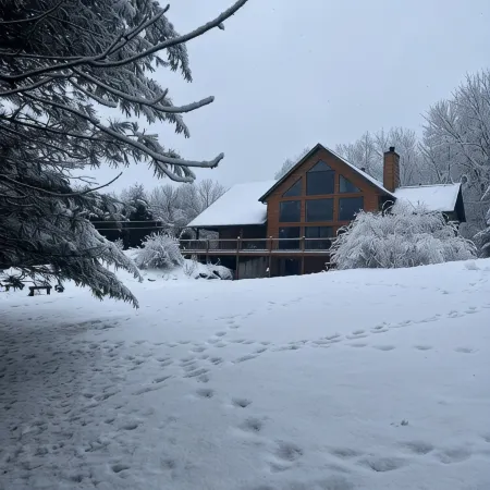 Cozy Log Cabin - Nature Escape - 5 Acres