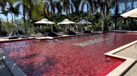 Rosso Sky Villa 9 bedroom with sea view, hill top