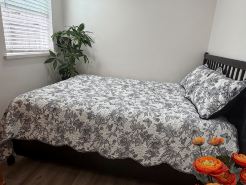 Great big quiet bright Room private bathroom in SF