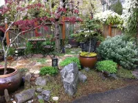 Seattle at its Best - the Premiere Walking Neighborhood!! Hotels in Wallingford
