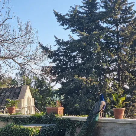 Candalù - Villa Giardinata