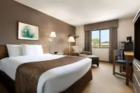 Super 8 by Wyndham Lincoln North