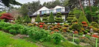 Yangyang Starlight Garden Pension Hotels near Yangyang International Airport