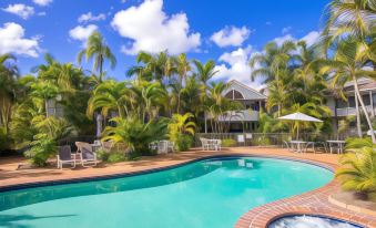 a beautiful outdoor pool area with umbrellas , lounge chairs , and palm trees under a clear blue sky at Bay of Palms