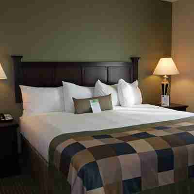 Wingate by Wyndham Peoria Rooms