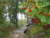 Viljamaan lomamökit 2 Hotels near Frisbeegolfrata Vesaniemi FBG