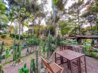 Gunung Geulis Campsite
