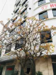 X9 Hotel Hotels in Huyen Thanh Tri