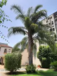 Residence la Palma Các khách sạn ở Catania