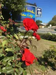 Parklands Motor Lodge Timaru Hotels in Timaru