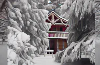 Sycamore Avenue Treehouses & Cottages Accommodation
