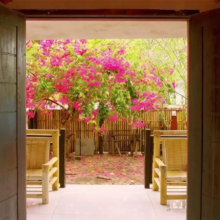 The Rabbit Tree Hostel