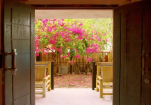 The Rabbit Tree Hostel Hotels near Gili Islands