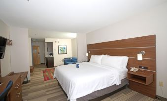 Holiday Inn Express & Suites Greensboro-East
