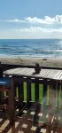 Closest to the Beach - Oceanfront Condo - Wake to the Waves