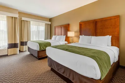 Comfort Inn & Suites Hotel in zona Amtrak - Florence