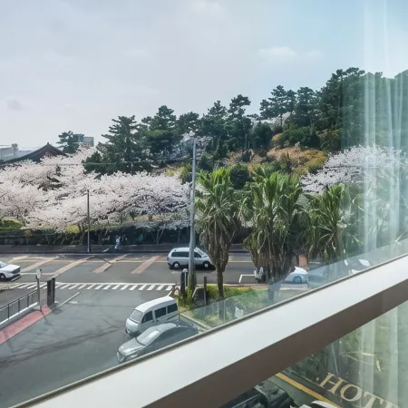 Jeju Dodubong Stay Hotel
