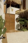 The May Five - Adults only Hotels near Şehitler Çeşmesi