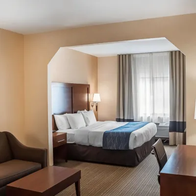 Comfort Inn & Suites Hamburg - Buffalo South Hotels near New Era Field