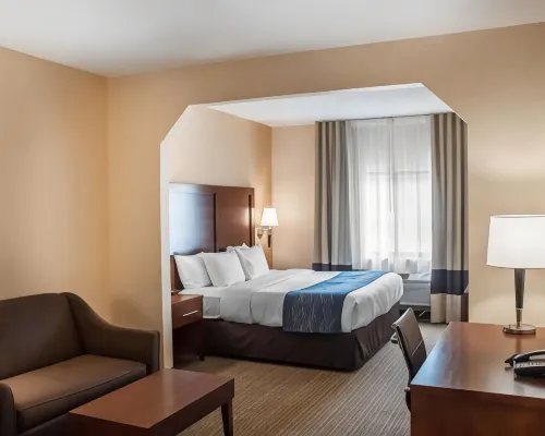 Comfort Inn & Suites Hamburg - Buffalo South - Wifi