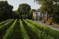 Borgo San Gregorio Hotels in Sorbo Serpico